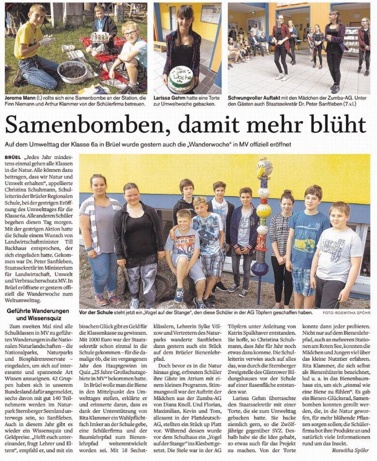 SVZ vom 31.05.2016